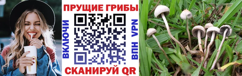 Галлюциногенные грибы MAGIC MUSHROOMS  Гаврилов-Ям 