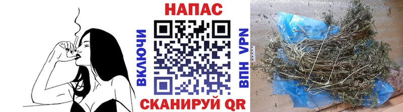 Конопля Ganja  Гаврилов-Ям 